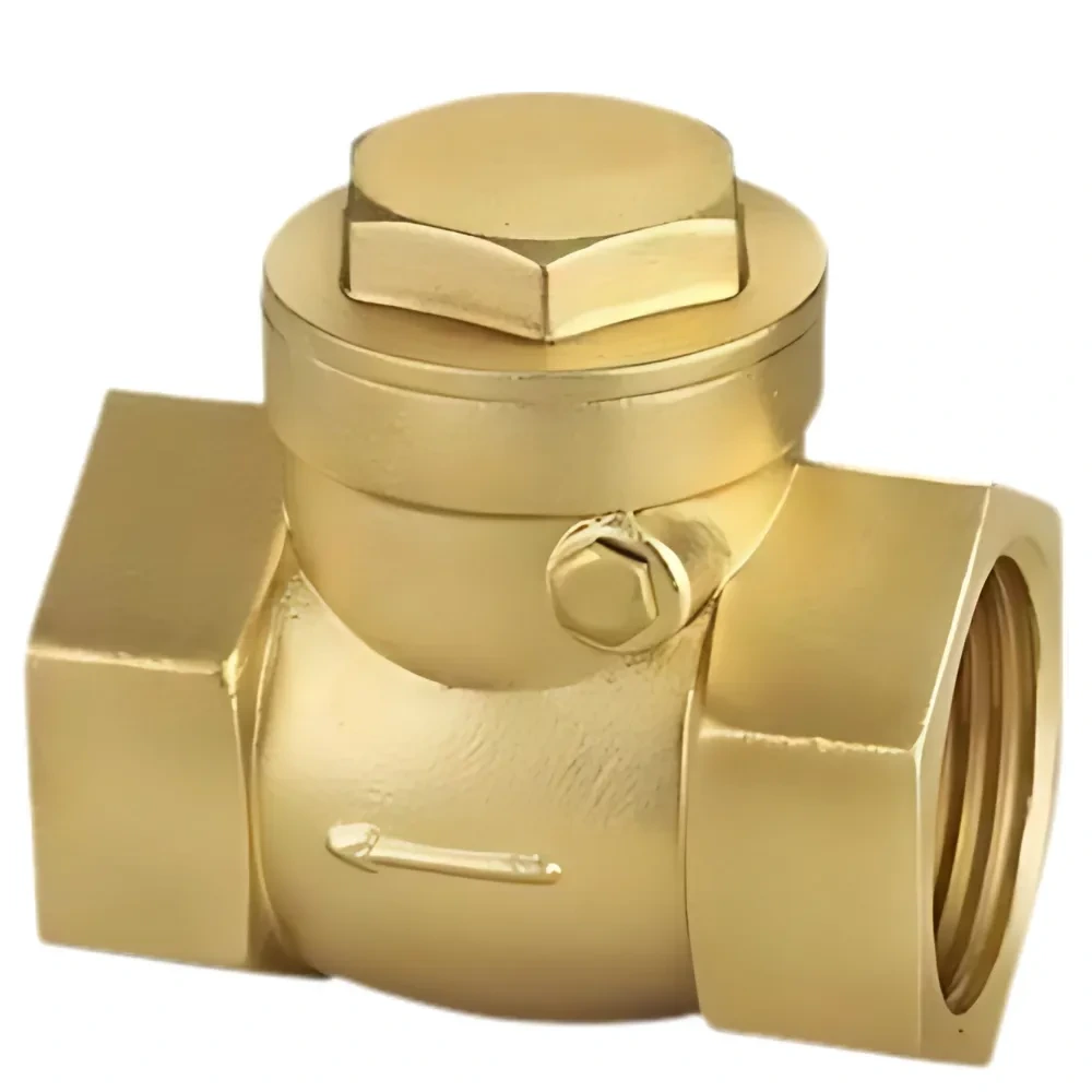 Brass 1" Brass Horizontal Nrv - GribonHome