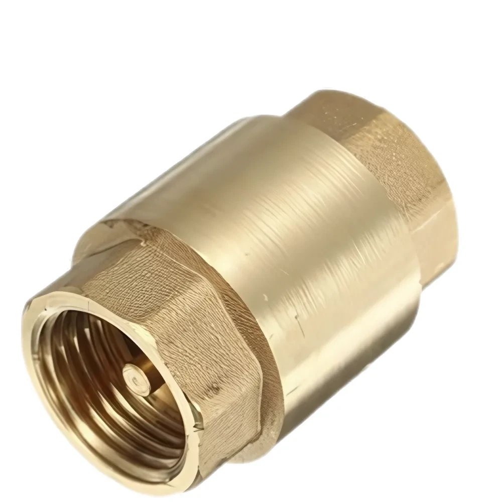 Brass 1" Brass Vertical Nrv - GribonHome